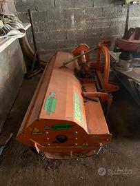 Trincia agrimaster KLA 1900