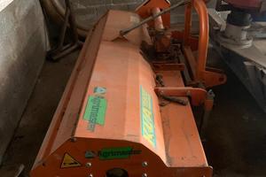 Trincia agrimaster KLA 1900