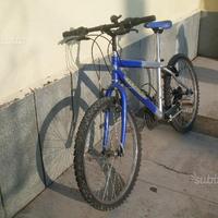 Bici mtb