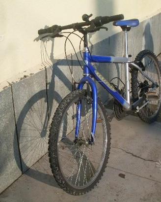 Bici mtb