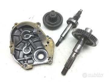 MALAGUTI F12 R PHANTOM LC 50 CARTER INGRANAGGI TRA