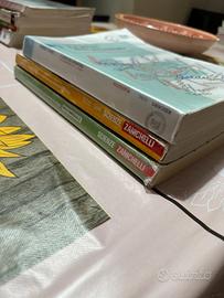 Libri 4 anno liceo scientifico