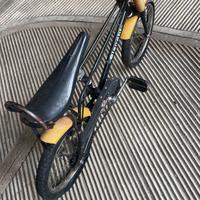 Bicletta Bianchi Vintage