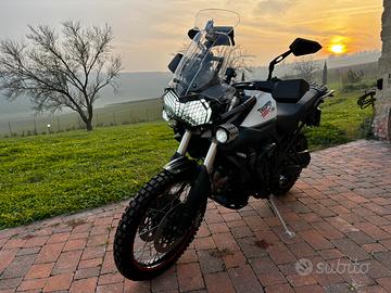 Triumph Tiger XC 800