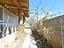Immagine 28