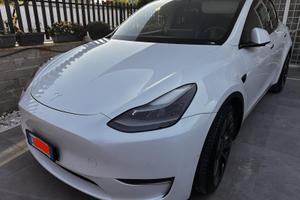 Tesla model Y performance