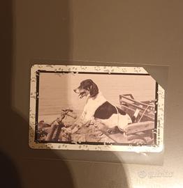 Scheda telefonica Elliot erwit