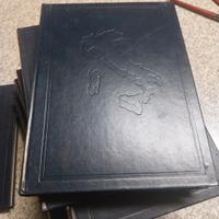 enciclopedia vintage 