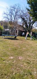 Taglio dell erba