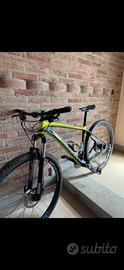 Mtb leecougan