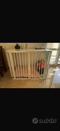 kennel per cani