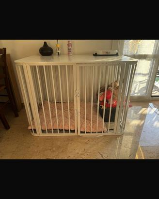 kennel per cani