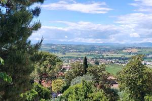 V004066 OSIMO SOTTO IL CENTRO