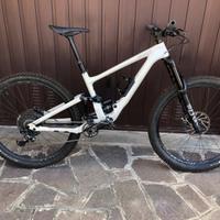 Specialized enduro carbon 29 2020