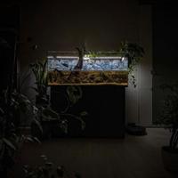 Acquario400L + mobile + filtro con in/out nascosti