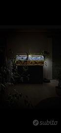 Acquario400L + mobile + filtro con in/out nascosti