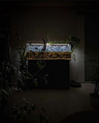 Acquario400L + mobile + filtro + LED