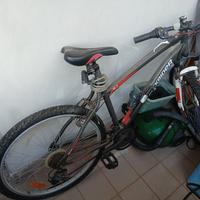 Bicicletta Mountain bike