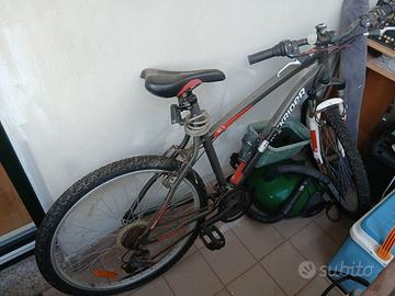 Bicicletta Mountain bike