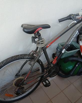 Bicicletta Mountain bike