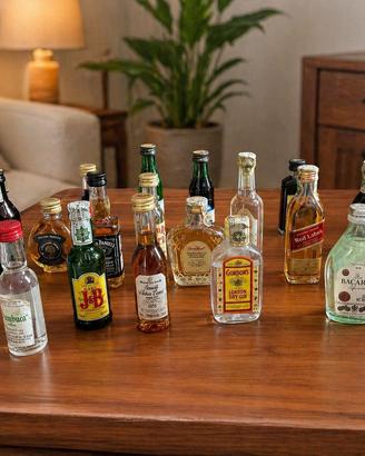 Collezione mini bottiglie di liquori assortiti
