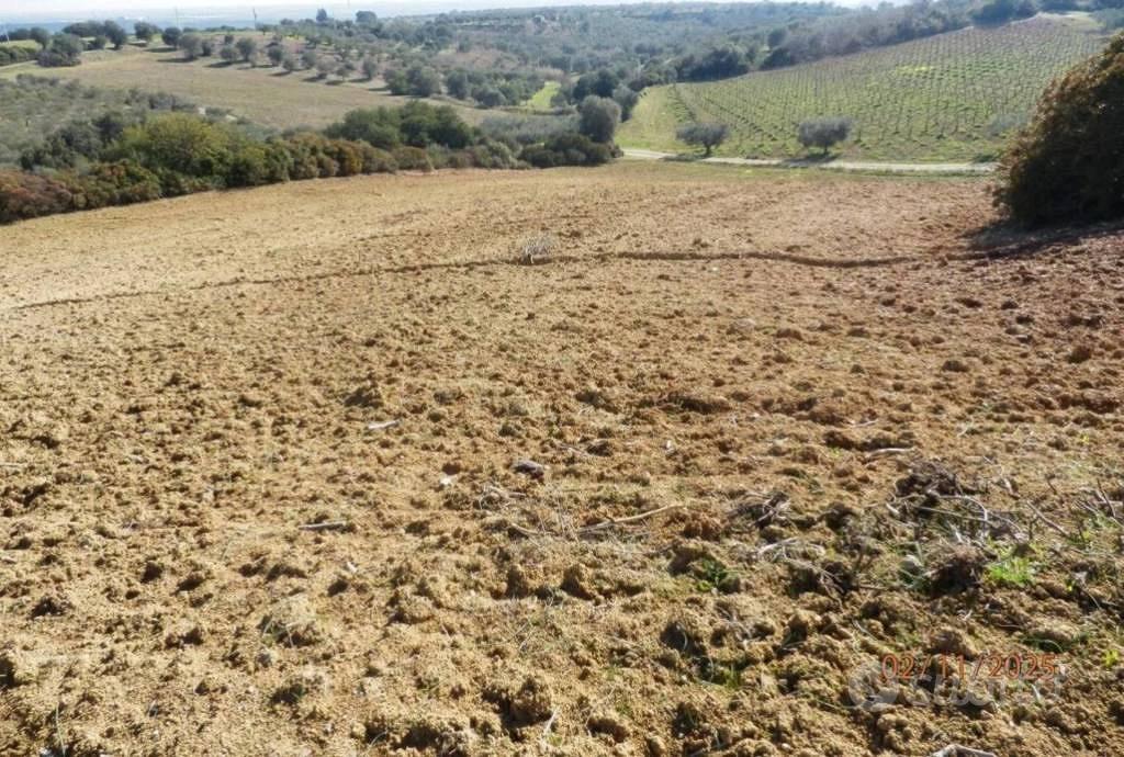 Immobile in asta di 46370 m² a Montescaglioso - Altro