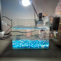 Aquario per pesci di piccola taglia 