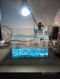 Aquario per pesci di piccola taglia 