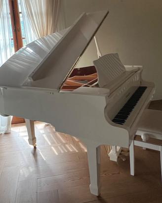 Pianoforte codino