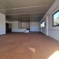 FIRENZE CASCINE DEL RICCIO Fondo artigianale