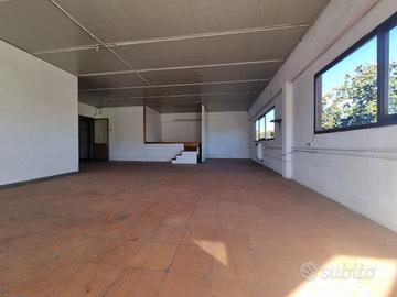 FIRENZE CASCINE DEL RICCIO Fondo artigianale