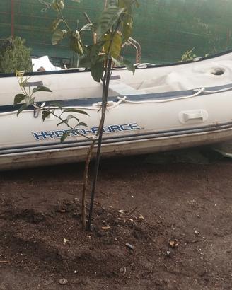 Salve gommone come si vedete