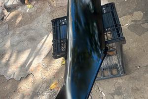 Sotto pedana destri Sh 125 dal 2020