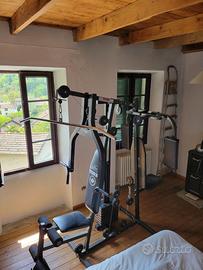 Palestra Multifunzione York