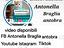 Immagine 6