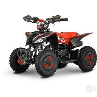 mini quad elettrico