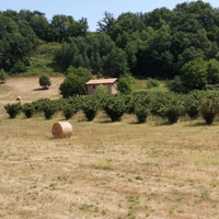 Terreno 8.5 ettari Valmontone