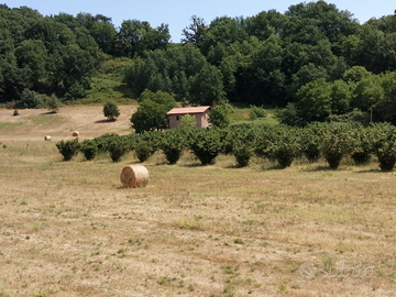 Terreno 8.5 ettari Valmontone