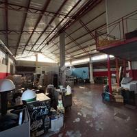 CAPANNONE A LA SPEZIA