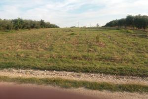 Montelibretti terreno agricolo