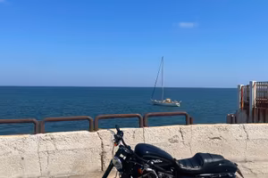 Harley Davidson  Sportster Roadster 1200