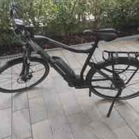 Bici elettrica Haibike sduro trekking 