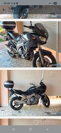 yamaha tdm 900