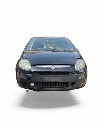 MUSO MUSATA FIAT PUNTO EVO