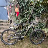 e-bike cannondale