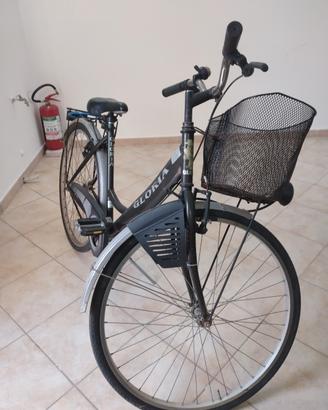 Bici da 26 con cestino 