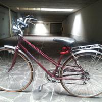 bicicletta donna