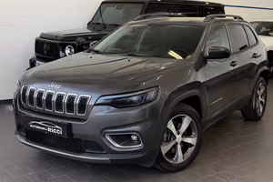 JEEP Cherokee 2.2 Mjt AWD A.D. I Limited