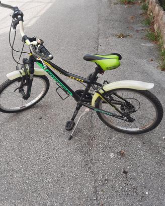 Bicicletta Bottecchia