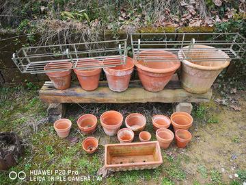 17 VASI PER FIORI IN COCCIO  PIÙ OMAGGIO